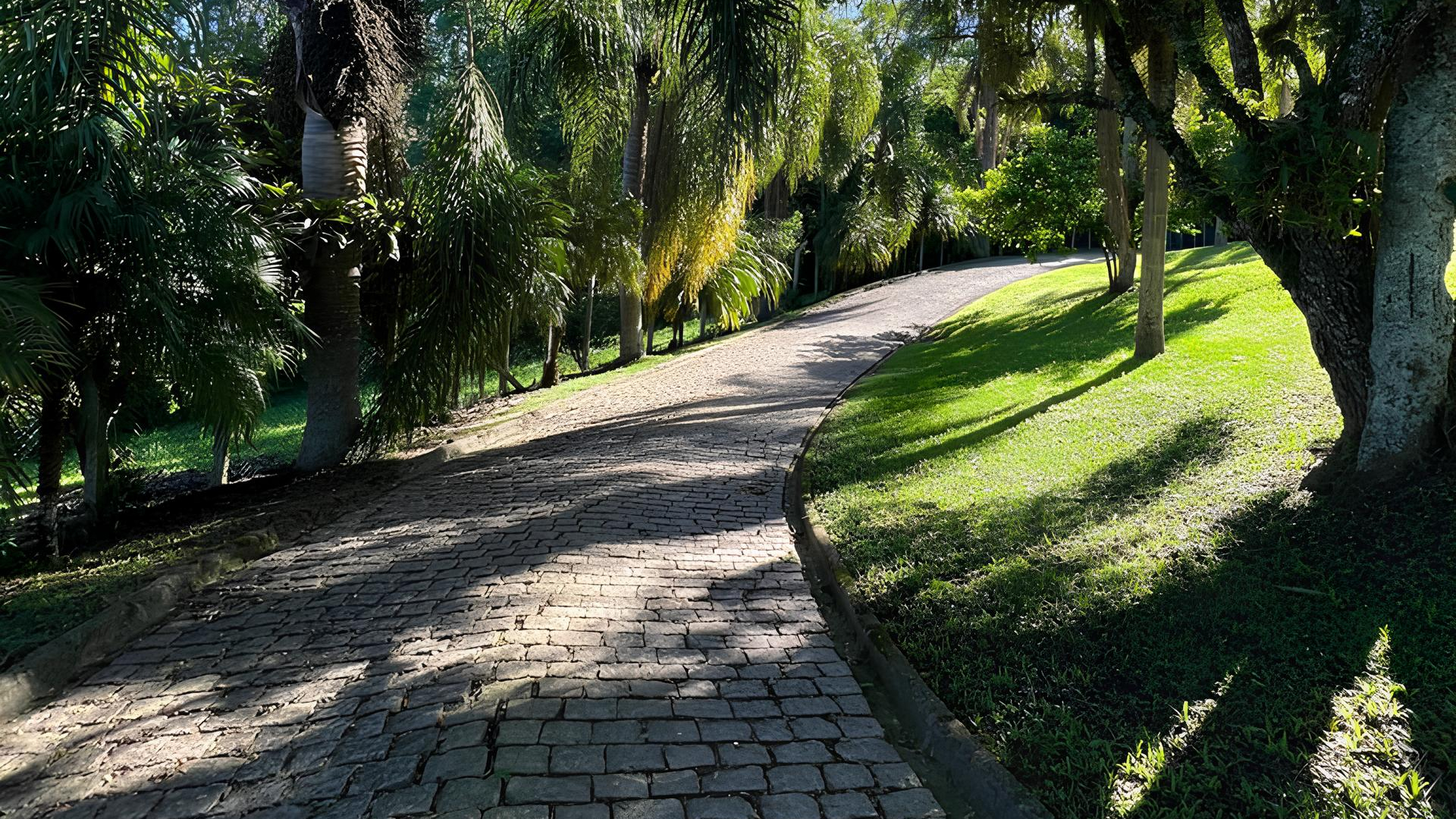 Trilha entre árvores