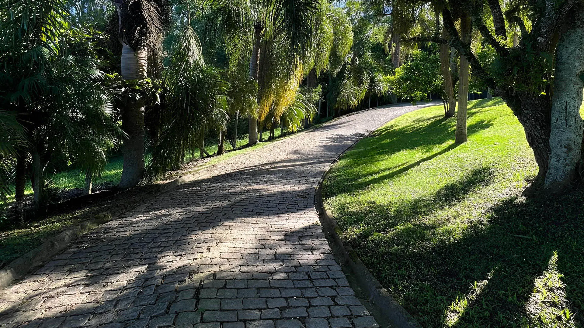 Caminho de pedra em meio à natureza